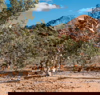 Old Coach Road Drive - Accommodation QLD