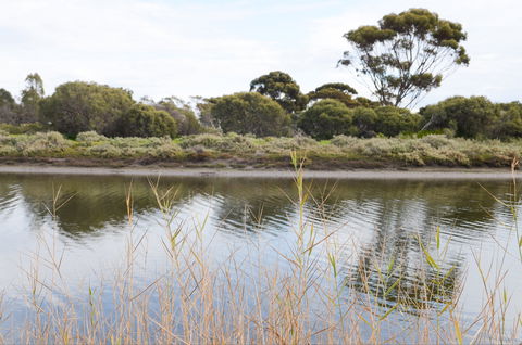 Onkaparinga River Recreation Park - Accommodation QLD 0