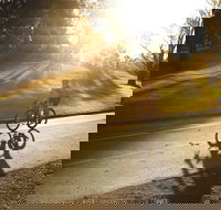 Parramatta River Cycleway - Accommodation QLD