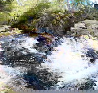 Polblue Falls - Accommodation QLD