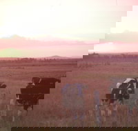 Pyree - Accommodation QLD