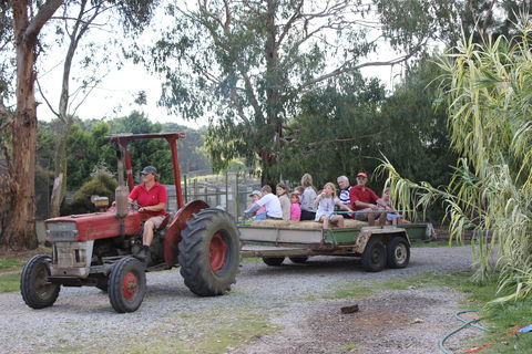 Rain Hayne And Shine Farmyard - Accommodation QLD 1