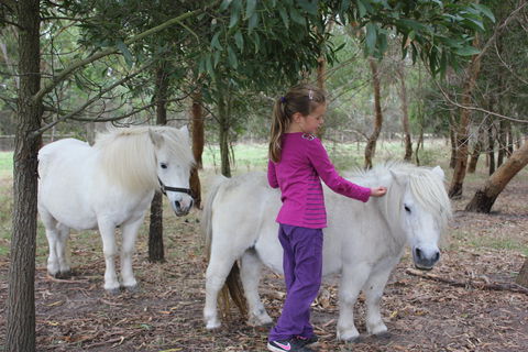 Rain Hayne And Shine Farmyard - Accommodation QLD 2