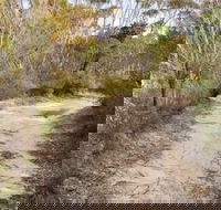 Red Rocks trig walking track - Accommodation QLD