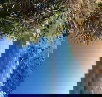 Richmond Valley Cultural Heritage Self Drive Tour - Accommodation QLD