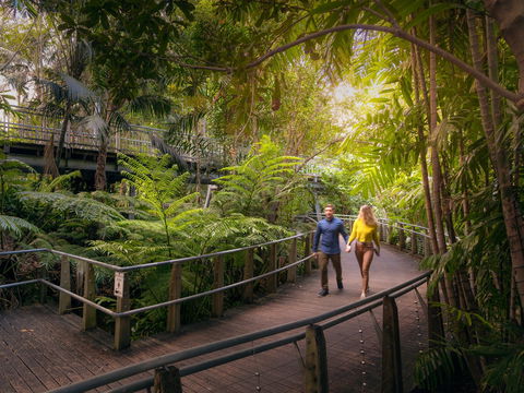 Roma Street Parkland - Accommodation QLD 2