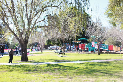 Rose Point Park: All Abilities Playground - Accommodation QLD 0