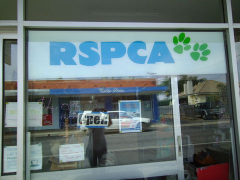 R.S.P.C.A Opportunity Shop - Accommodation QLD 0