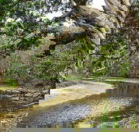 Saltwater National Park - Accommodation QLD