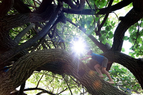 Scarborough Beach Park - Accommodation QLD 0