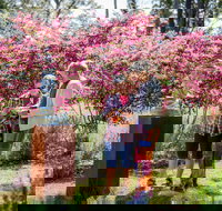 Sculpture at Petana - Accommodation QLD