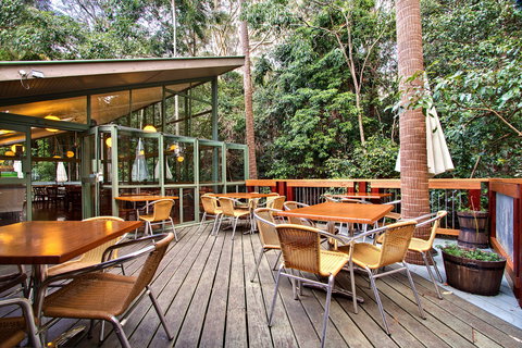 Sea Acres Rainforest Centre - Accommodation QLD 2