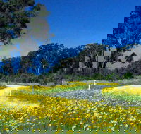 Shearer's Way - Accommodation QLD
