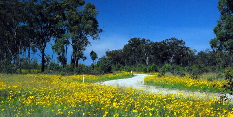 Shearer's Way - Accommodation QLD 0