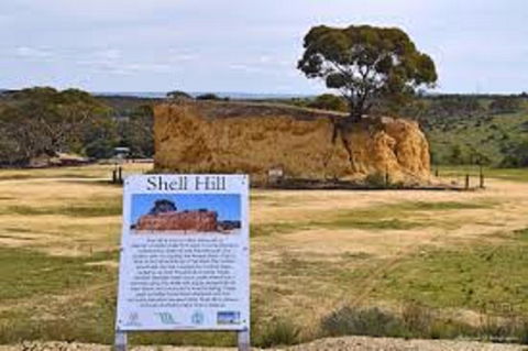 Shell Hill Reserve - Accommodation QLD 0