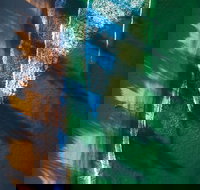 South Coast Experiences - Accommodation QLD