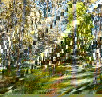 Square Head Track 1 - Accommodation QLD