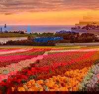 Table Cape - Accommodation QLD