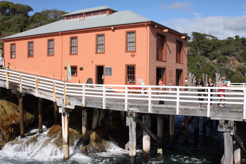 Tathra Beach - Accommodation QLD 2
