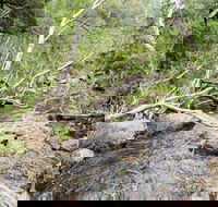 The Gap - Accommodation QLD