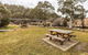 Thredbo River Picnic Area - thumb 0