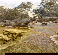 Thredbo River picnic area - Accommodation QLD