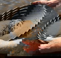 Tuena Panning for Gold - Accommodation QLD