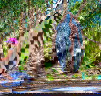 Wagirra Trail and Yindyamarra Sculpture Walk - Accommodation QLD