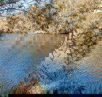 Wandandian Creek picnic area - Accommodation QLD