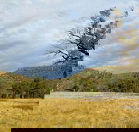 Weddin Mountains National Park - Accommodation QLD