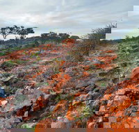 Western Ridge Walk - Accommodation QLD