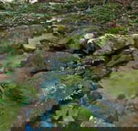 Whian Whian State Conservation Area - Accommodation QLD