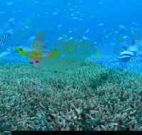 Wreck Bay Dive Site - Accommodation QLD