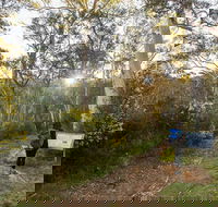 Yarrangobilly Caves  River walk - Accommodation QLD