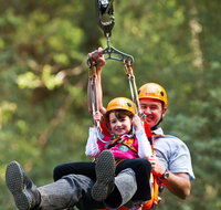 Zipline at Illawarra Fly - Accommodation QLD