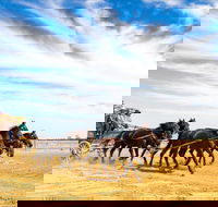 7 Day Outback Giants - Accommodation QLD