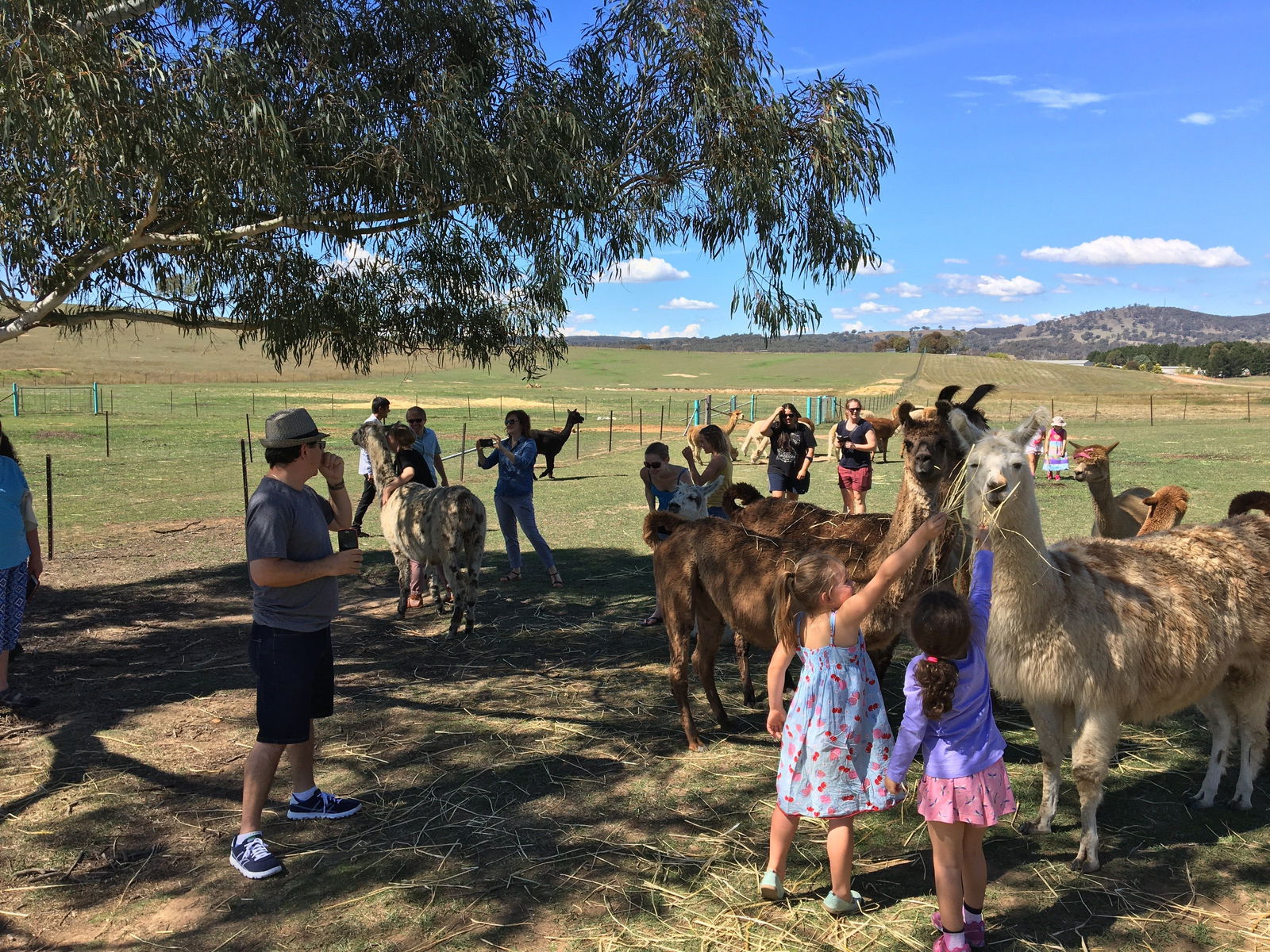 Yarrow NSW Accommodation QLD