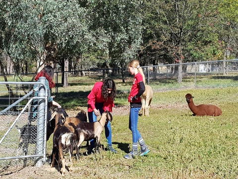 Animal Farm Visit - Accommodation QLD 1