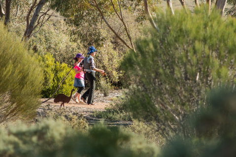 Australian Arid Lands Botanic Garden - Accommodation QLD 0