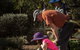 Australian Arid Lands Botanic Garden - thumb 1