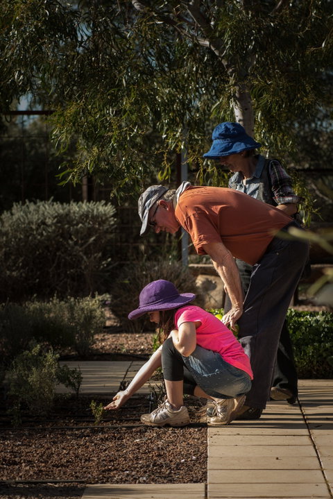 Australian Arid Lands Botanic Garden - Accommodation QLD 1