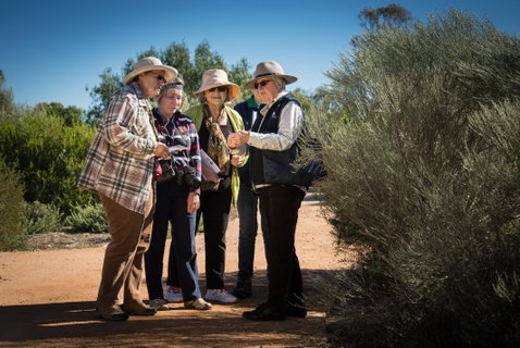 Australian Arid Lands Botanic Garden - Accommodation QLD 2