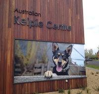 Australian Kelpie Centre - Accommodation QLD
