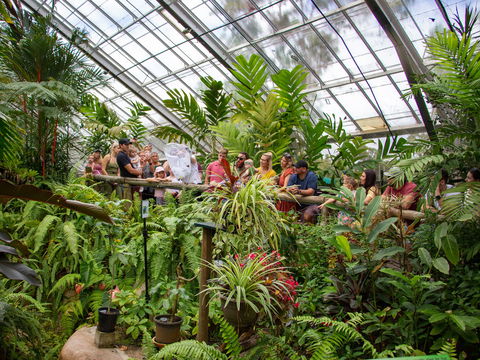 Australian Butterfly Sanctuary - Accommodation QLD 2
