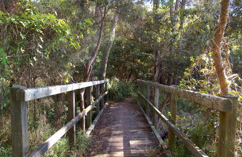 Awaba Bay Foreshore Walk - Accommodation QLD 0