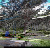 Barrington Tops State Forest - Accommodation QLD