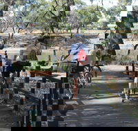 Bidgee Riverside Trail  - Hay Nature Walk - Accommodation QLD