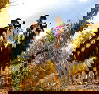 Billabong Ranch Adventure Park - Accommodation QLD