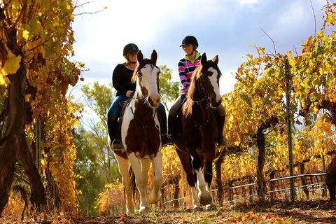 Billabong Ranch Adventure Park - Accommodation QLD 0