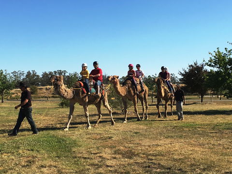 Billabong Ranch Adventure Park - Accommodation QLD 1